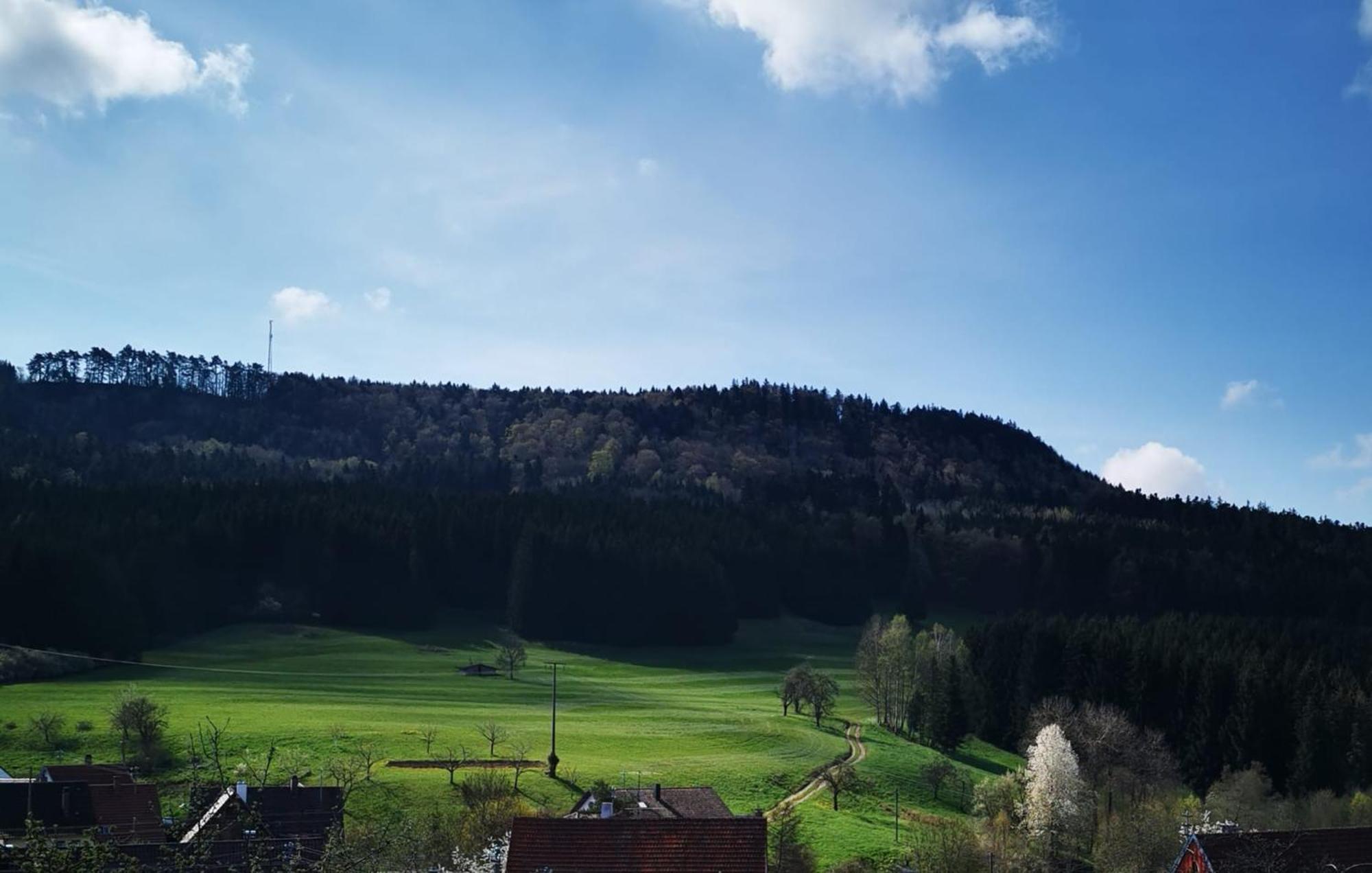 Ferienwohnung Blick Rappenstein Hausen am Tann Zewnętrze zdjęcie