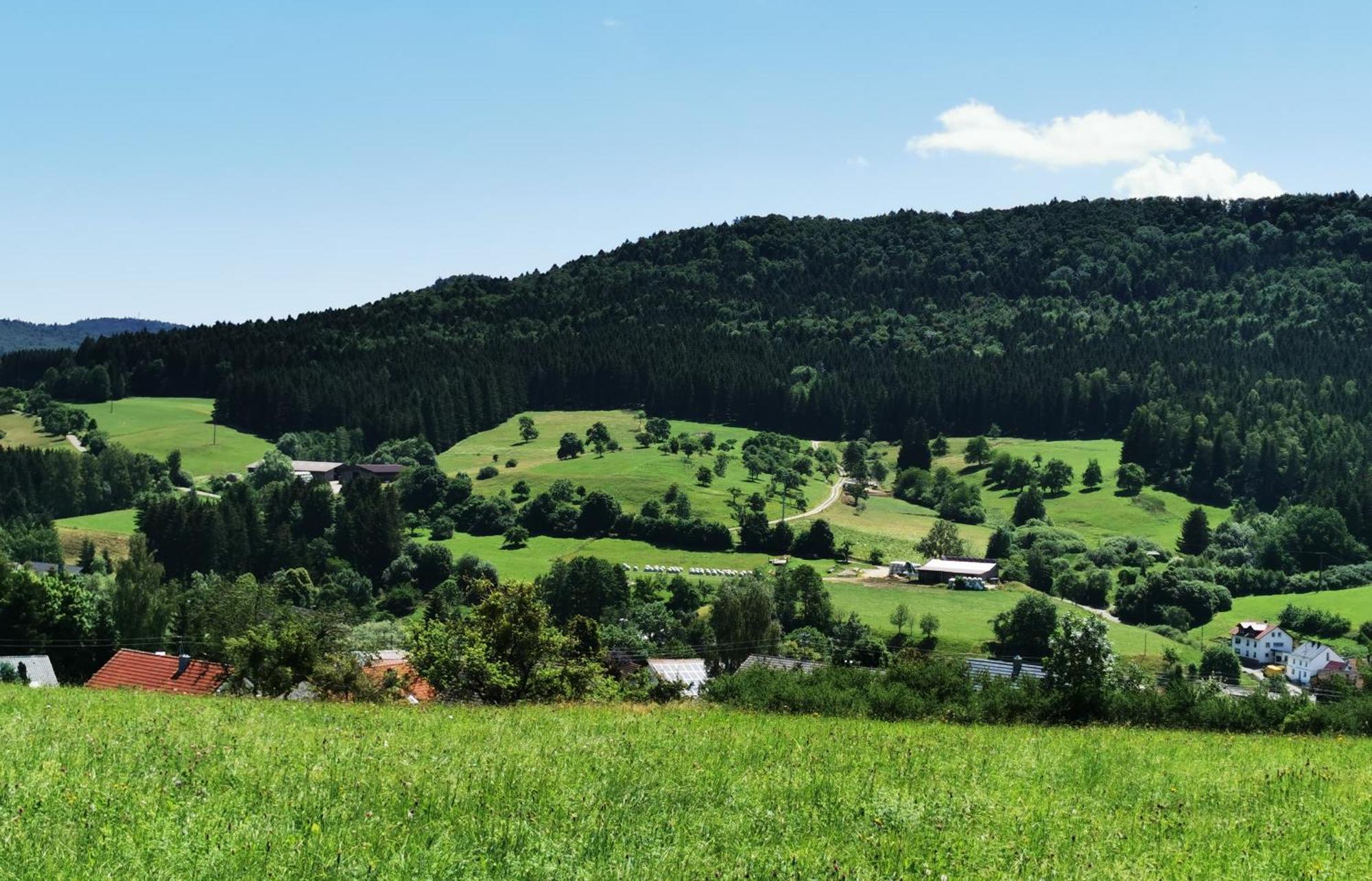 Ferienwohnung Blick Rappenstein Hausen am Tann Zewnętrze zdjęcie