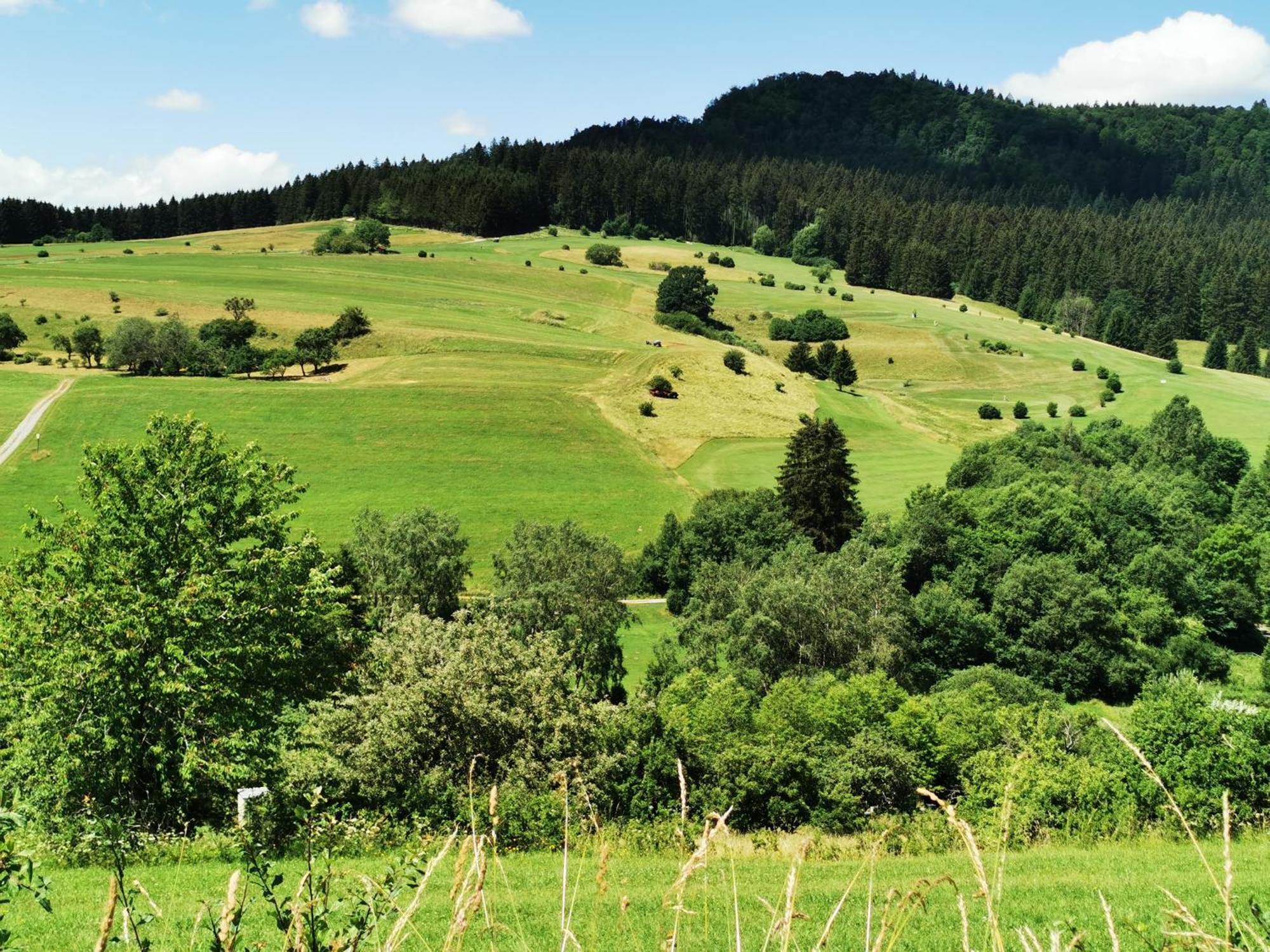 Ferienwohnung Blick Rappenstein Hausen am Tann Zewnętrze zdjęcie