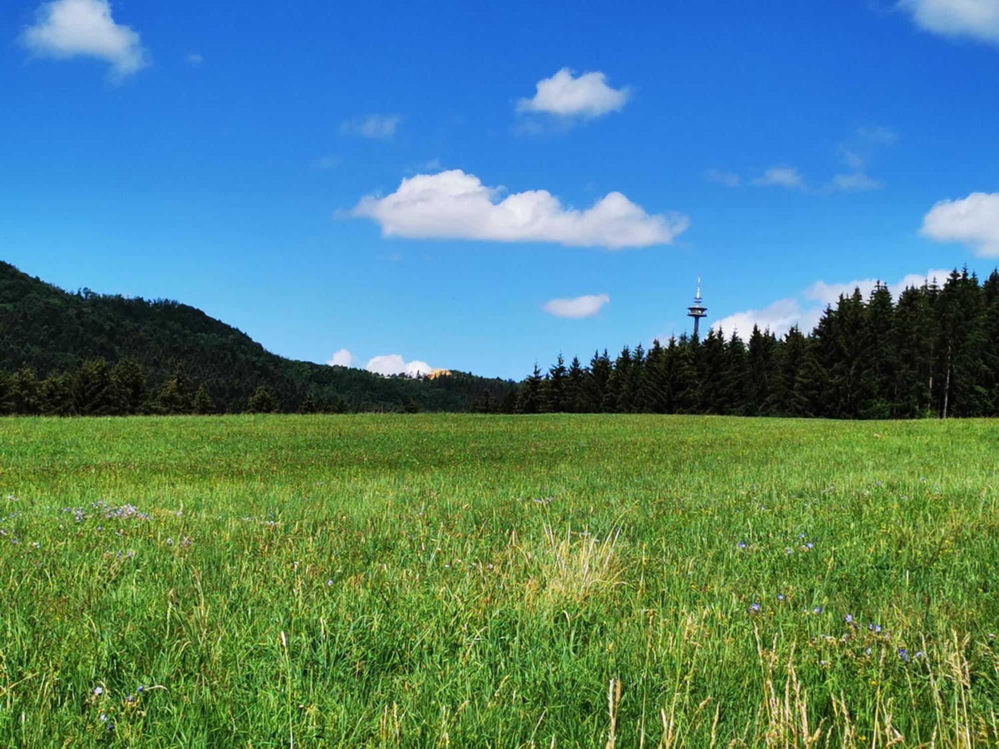 Ferienwohnung Blick Rappenstein Hausen am Tann Zewnętrze zdjęcie