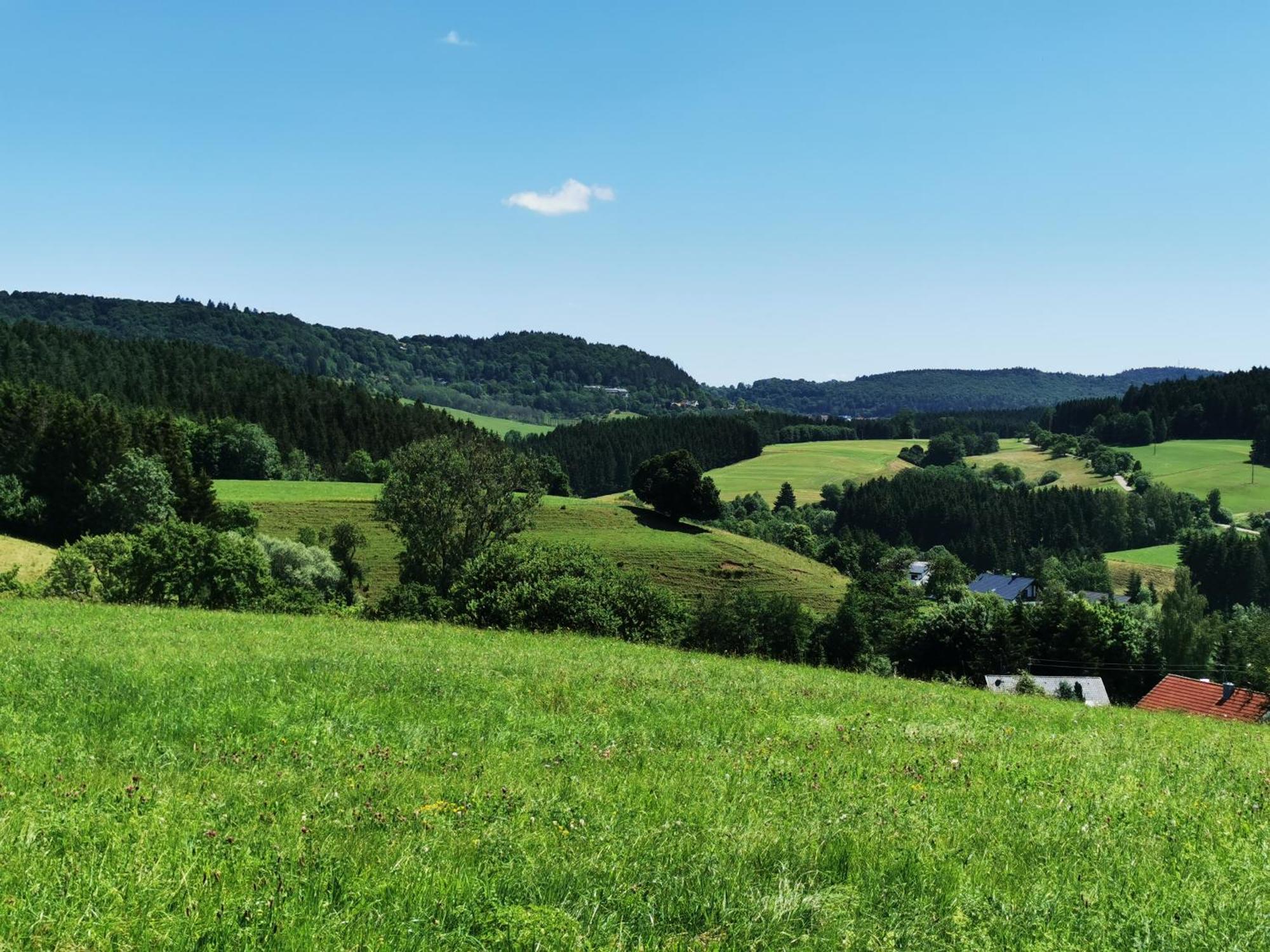 Ferienwohnung Blick Rappenstein Hausen am Tann Zewnętrze zdjęcie
